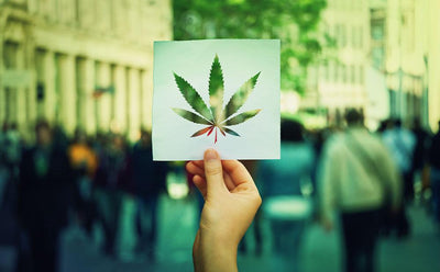 ‘Cann I Know’ Launch - A New Cannabis Education Portal