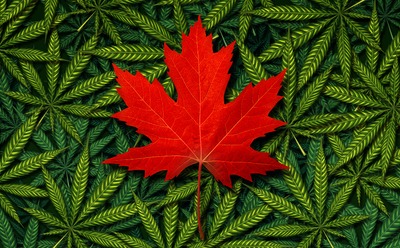 How to celebrate 420 in Canada during social distancing