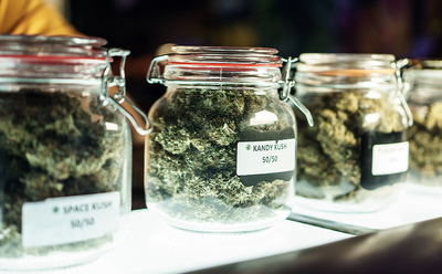 Is there really a difference between legal and illicit cannabis?