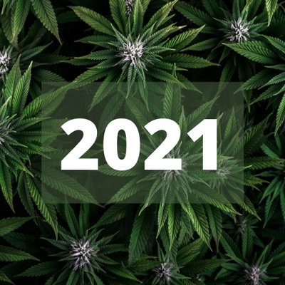 2021 - A Year in Review with RCU - Responsible Cannabis Use