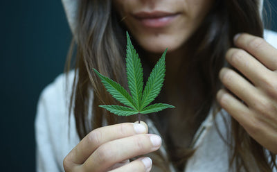 Canada cannabis laws 101 - a quick quiz